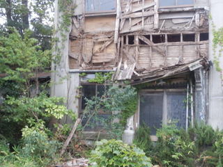 yamadai_04.jpg
